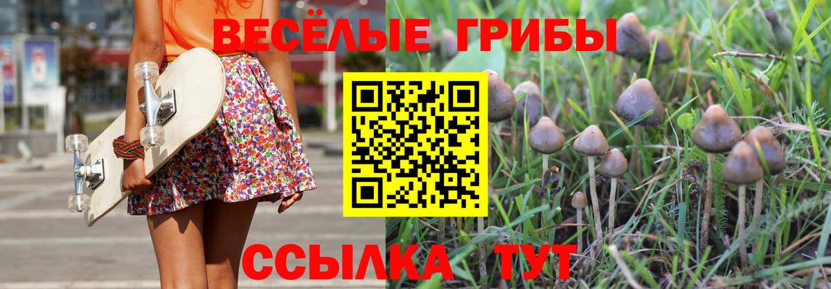 Псилоцибиновые грибы Cubensis  Галлюциногенные грибы ЛСД  Вход с VPN  Моздок 