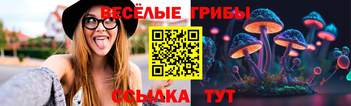 Псилоцибиновые грибы прущие грибы Моздок